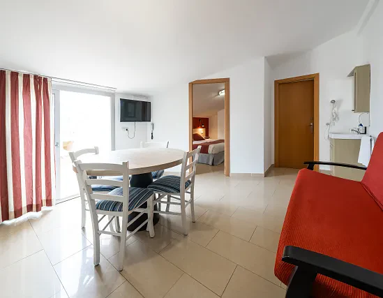 Apartament 1 habitació terrassa
