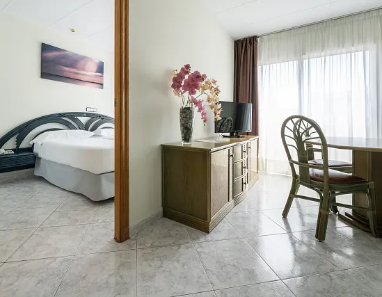 Apartament 1 habitació