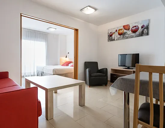 Apartament 1 habitació