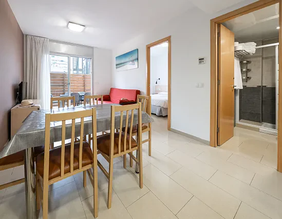 Apartament 2 habitacions terrassa