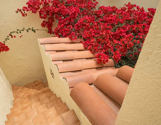 Apartament 2 habitacions balcó