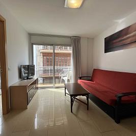 IMAGE GALLERY