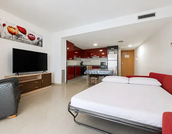 Appartement 1 chambre