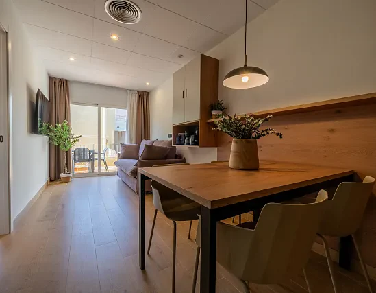 Premium 1 bedroom apartment with terrace