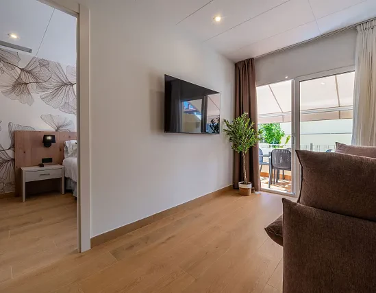 Premium 1 bedroom apartment with terrace