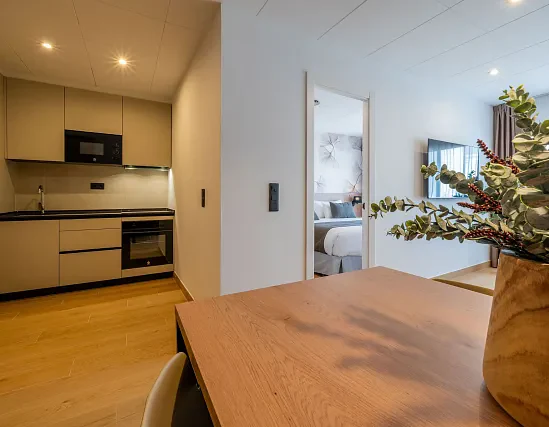 Premium 1 bedroom apartment with terrace