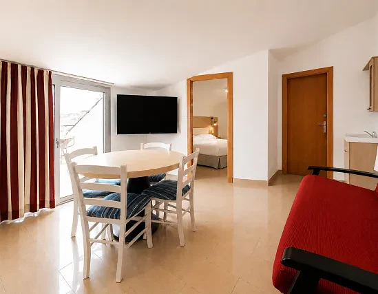 Appartement 1 chambre terrasse